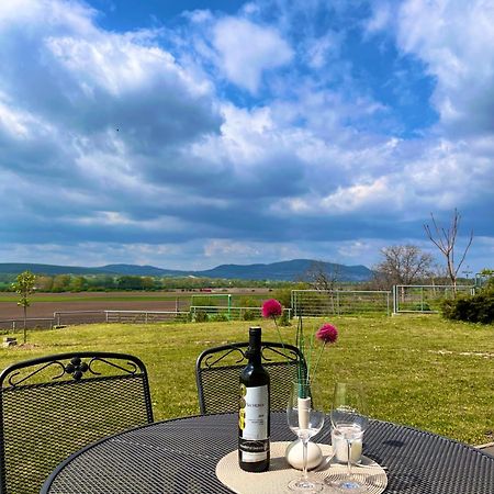 Penzion U Vinarstvi Sabata Zaječí Extérieur photo
