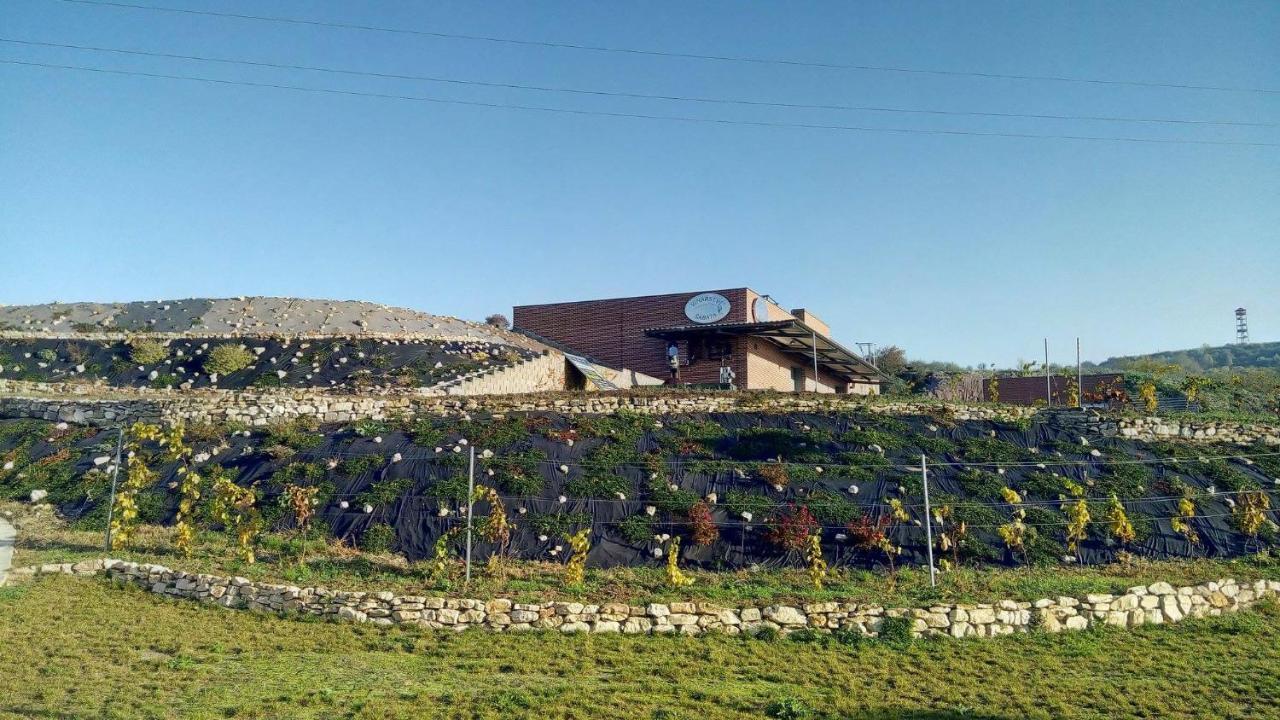 Penzion U Vinarstvi Sabata Zaječí Extérieur photo