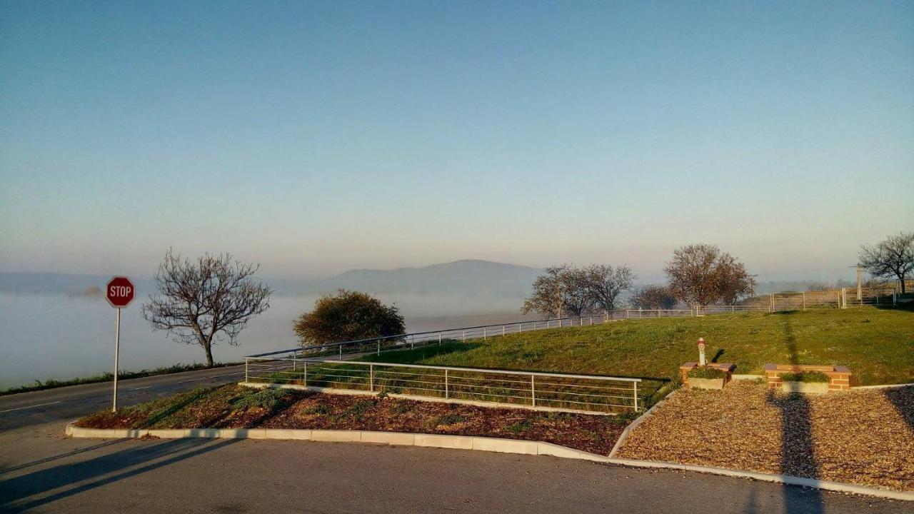 Penzion U Vinarstvi Sabata Zaječí Extérieur photo
